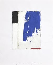 171103_t20_tela_9735