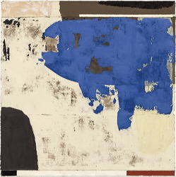 171102_t20_tela_9681